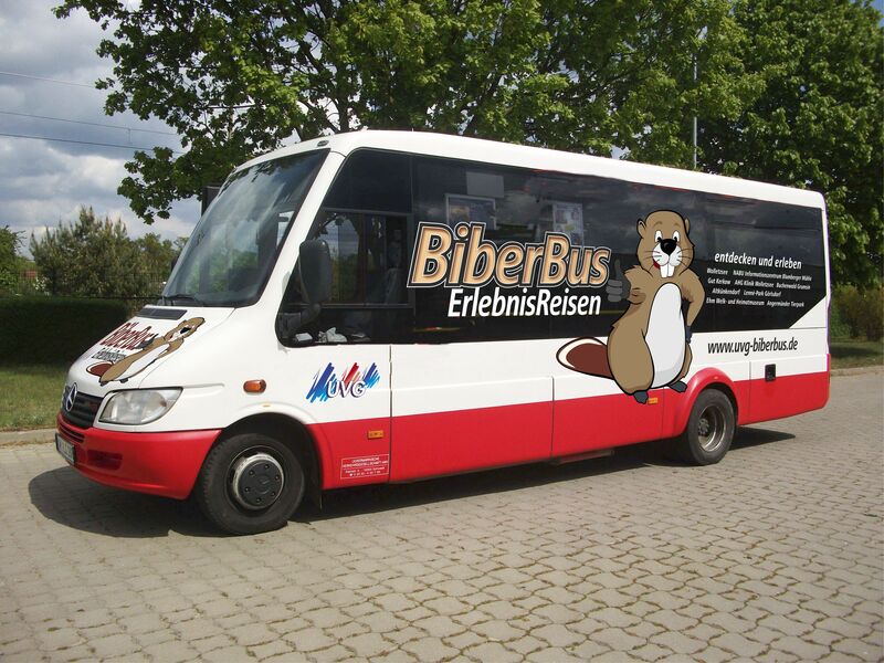 Biberbus