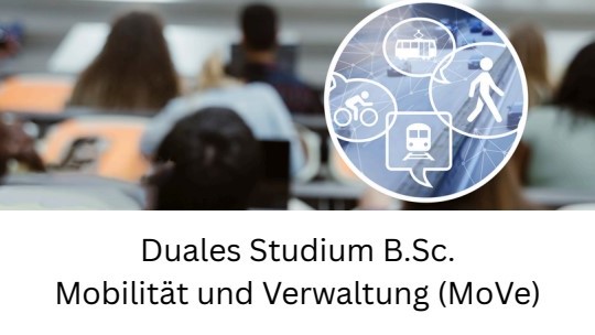 Köpfe von hinten und icons für Zug, Fußgänger, Radafhrer, Tram