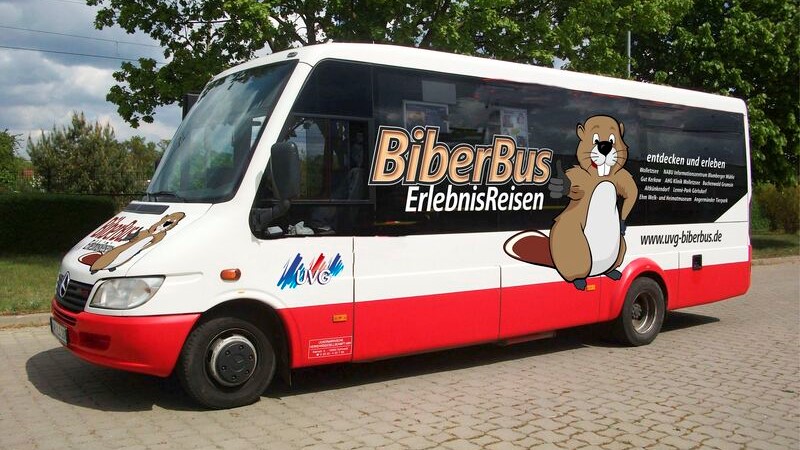 Rot-weißer Kleinbus mit Aufschrift BiberBus-Erlebnisreisen 