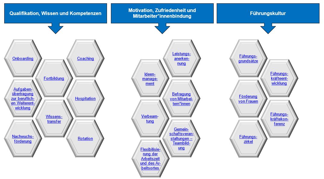 Abbildung der Personalentwicklungsmaßnahmen in einer Wabenstruktur
