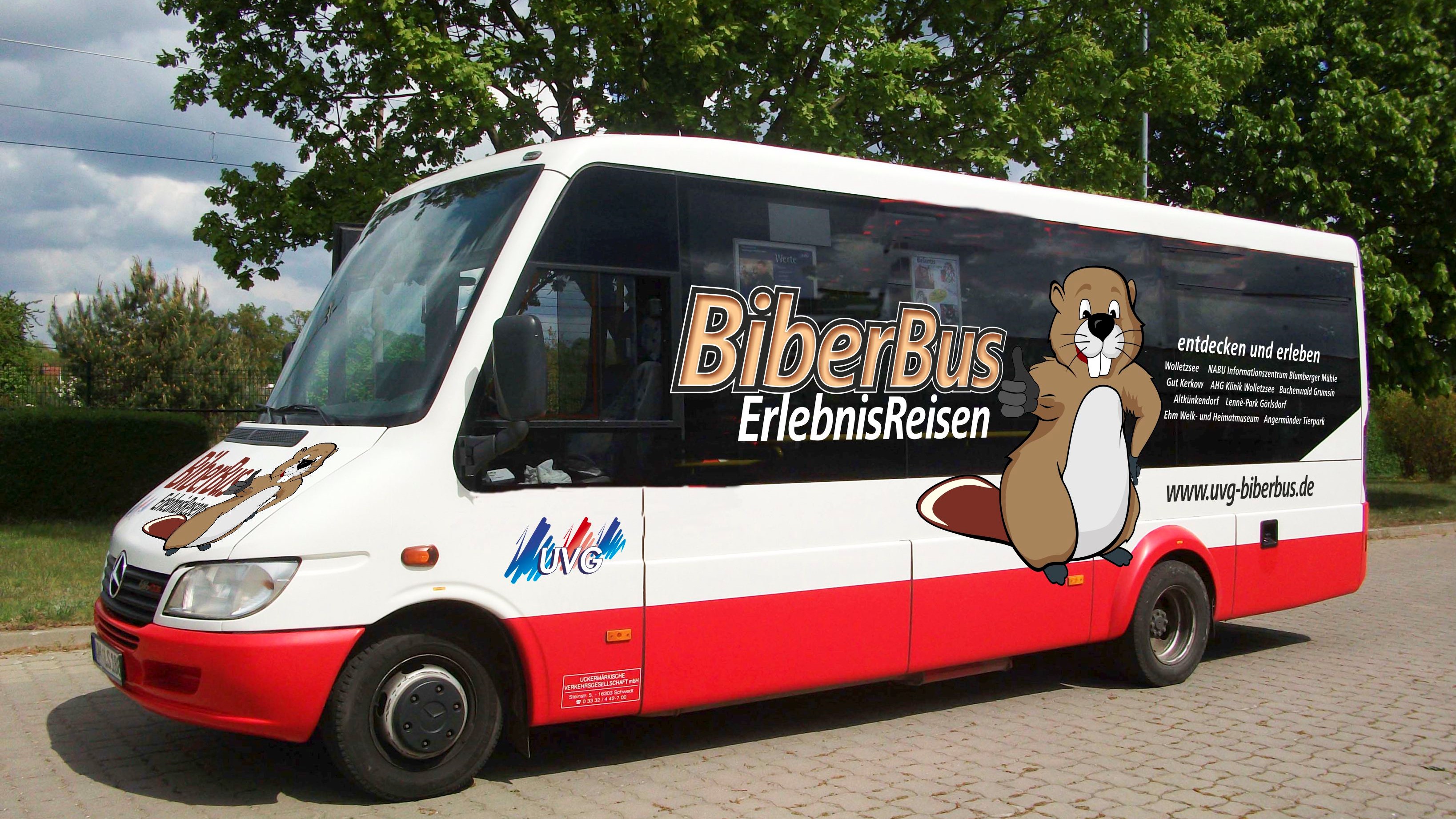 rotweißer Bus mit der Aufschrift Biberbus Erlebnisreisen