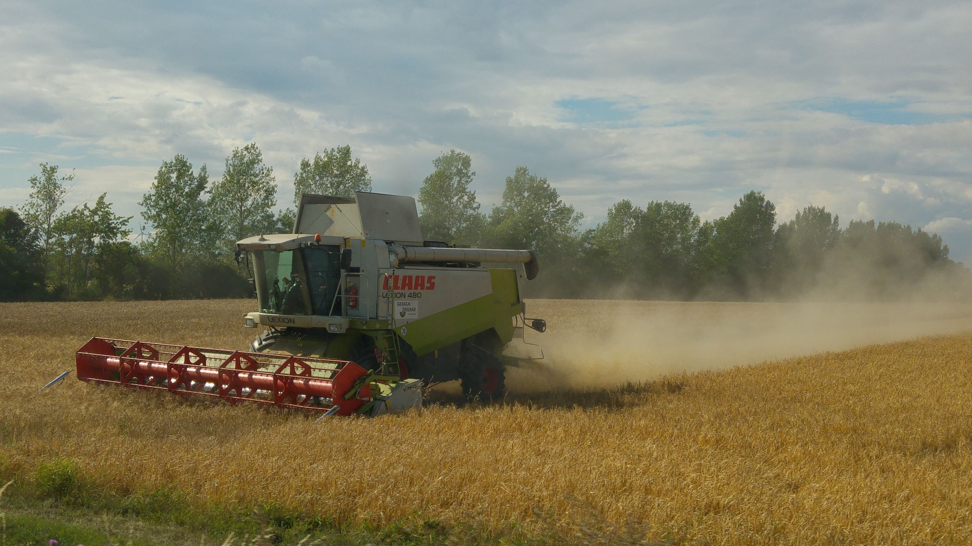 Mähdrescher bei der Ernte